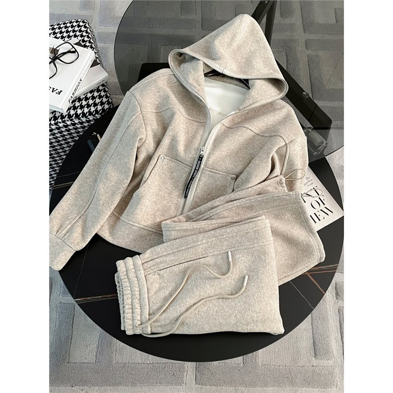 Shenzhen Nanyou European fleece-lined Thickened Sweat suit Women's Winter Loose Casual Sports High-end Two-piece Set