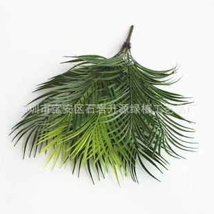 ��N�Gɫֲ���F���~9�^���F���~ާ��~����ֲ���˹���b�ɢβ