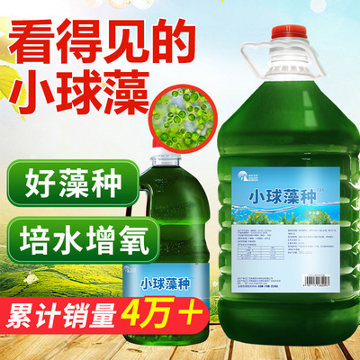 Chlorella Algae concentrate Algae reunite with A fertilizer Hydroponics Aquatic products breed Chlorella Algae