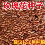 õ�廨�����׻��������������ͥԺ��ֲ���ʻ�����