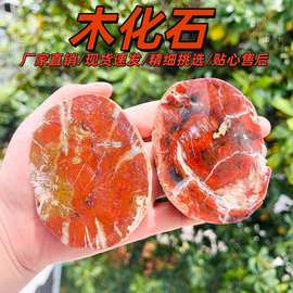 厂家批发天然木化石切片树化玉原石摆件家居办公茶杯垫水晶工艺品
