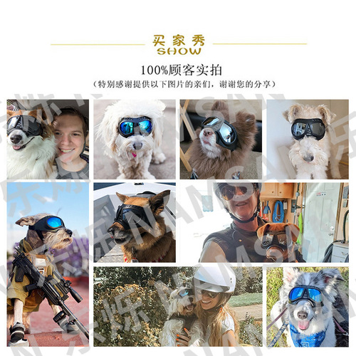 New pet small mask glasses waterproof and snowproof soft frame goggles dog supplies sunglasses sunglasses