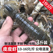 ʮ����ػʍuƤƤ�r�r���r�����r���Ӻ��r���ش󎧸��M�Ѹ��F�r��