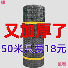 �����u�W���@���Z�B�Bֳ�W�����ׇ��ھW���o�W�B����