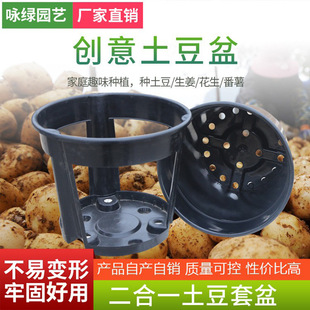 �S�����l�����Nֲ��t�����������Nֲ�����ϻ��������Nֲ��PPԭ��