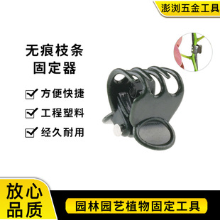 兰花夹无痕枝条固定器室内藤蔓夹抓钩神器植物绿萝向上生长蝴蝶夹-阿里巴巴