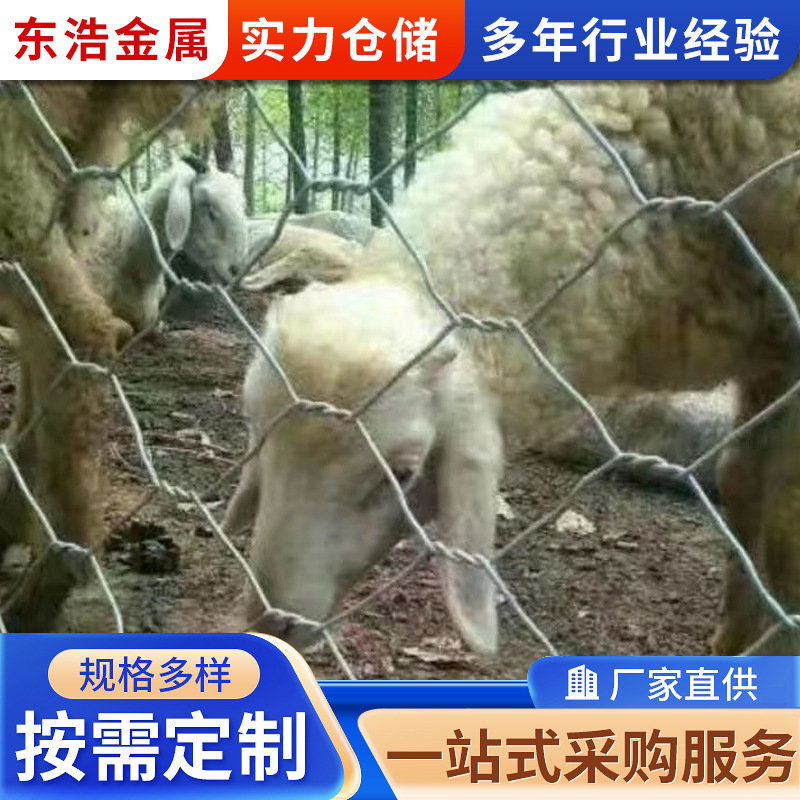 厂家堤坡防护宾格网石笼网挡墙大六角家畜养殖围栏防护网多种规格