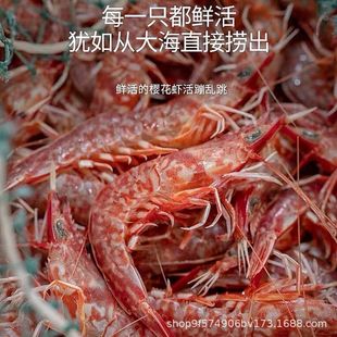 ����S���]�������|ɽ�u�ѻ��r�����rõ���r�ك��i�r���r250g����