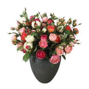 �羳؛Դ�������͹Ž�߅õ����滨�b���Gֲ�¿���ɫ����ٻ�