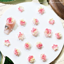 ���S��Ⱦõ��ܛ�z��ɽ�軨ɢ�����ֹ�diy���������������ز�