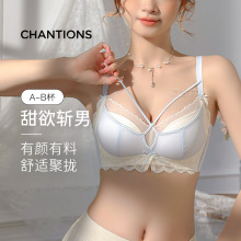 dy1��13362