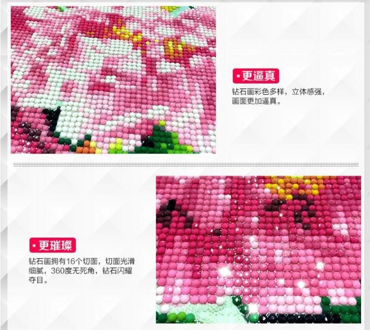 11165097261_385905344