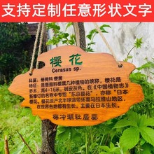 木牌激光雕刻定制刻字木质吊牌树木介绍牌防水植物标识牌树牌挂牌