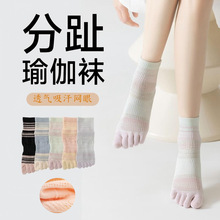 五指袜春秋运动网眼透气吸汗薄款抑菌中筒袜女潮流条纹分趾袜女