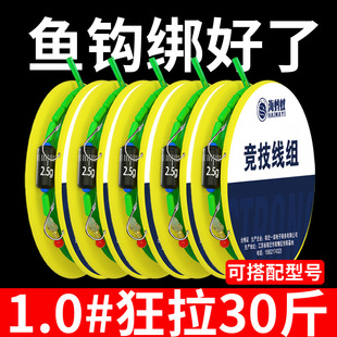 Fishing Line Main Line, Fish Hook Line Set, Complete Set of Finished Products, Double Hook Fishing Main Line, Fishing Gear Supplies