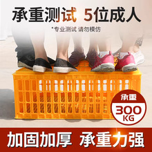 周转筐厂家供应 鸡笼塑料周转箱成鸡鸭鹅运输筐鹅鸽笼周转运输笼