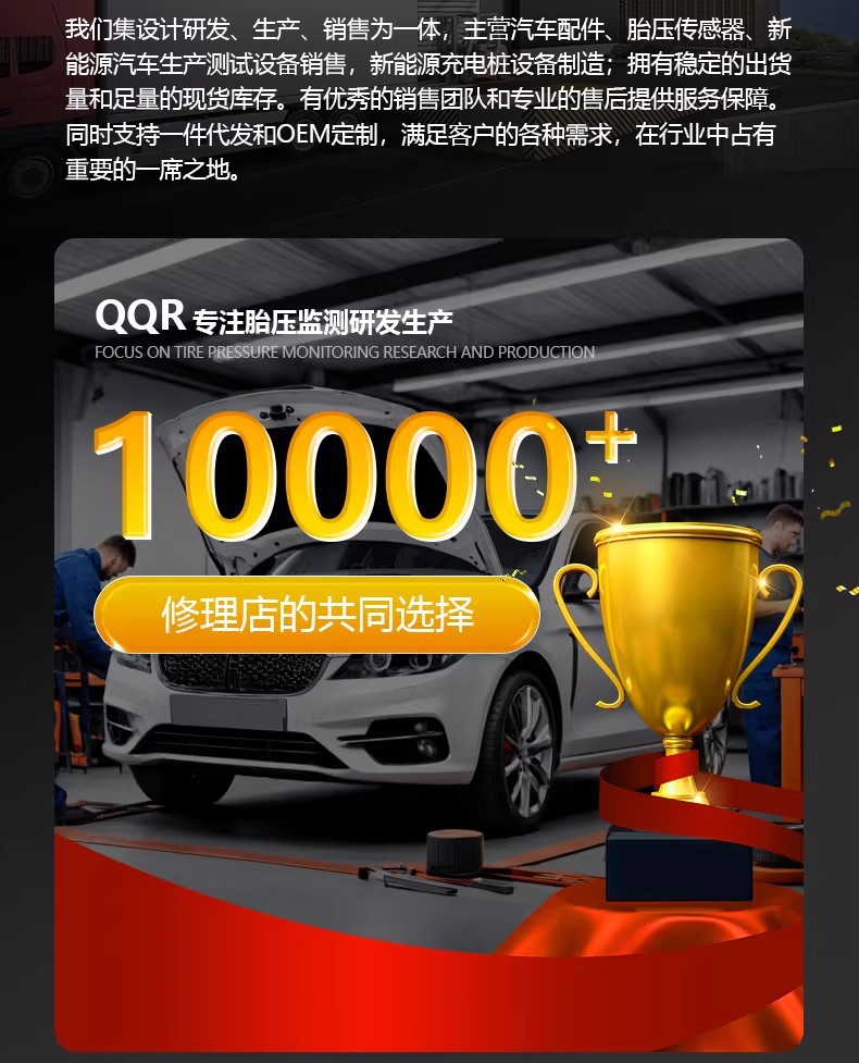 Bmw-Specific X1X2X3X4X5X6Mini Tire Pressure Sensor, Built-In Tire Pressure Monitoring for Vehicles, Programmable
