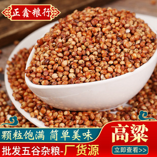 �|�t����ᄾ�ᄴ׹���������s�Z���l��Ƥ����δÓƤ�������b