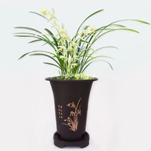 �m�������¿��Ͳ�Ӻ����ϻ������l�ŵ�Ӹ߽��m���mī�m����