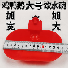 养殖喂水喂鸡鸭鹅鸽子雏鸡饮水器养小鸡喝水碗鸡用自动饮水器