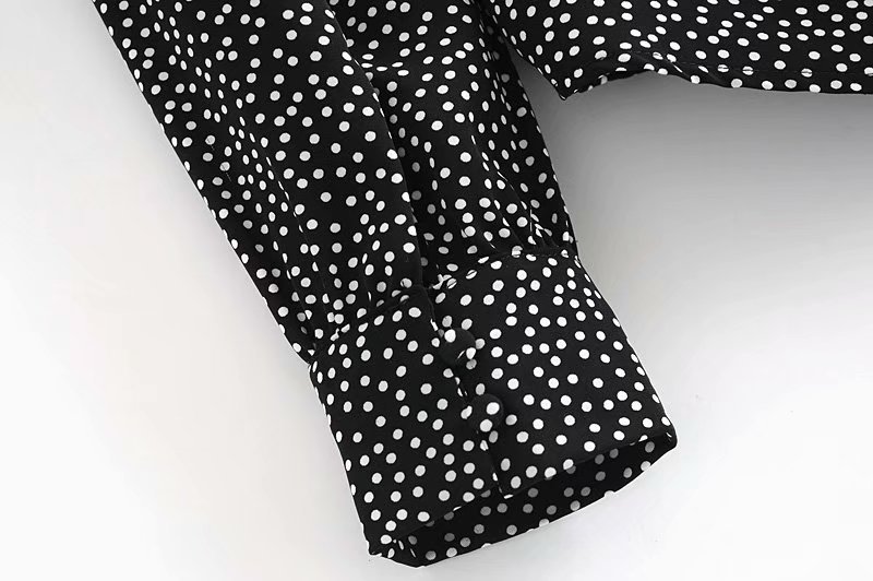 spring watermark polka dot lace V-neck blouse  NSAM29266