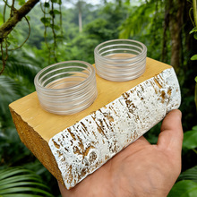 爬宠外贸树栖食台寄居蟹雨林睫角守宫捕鸟蛛水碗爬虫饲养盒桦树