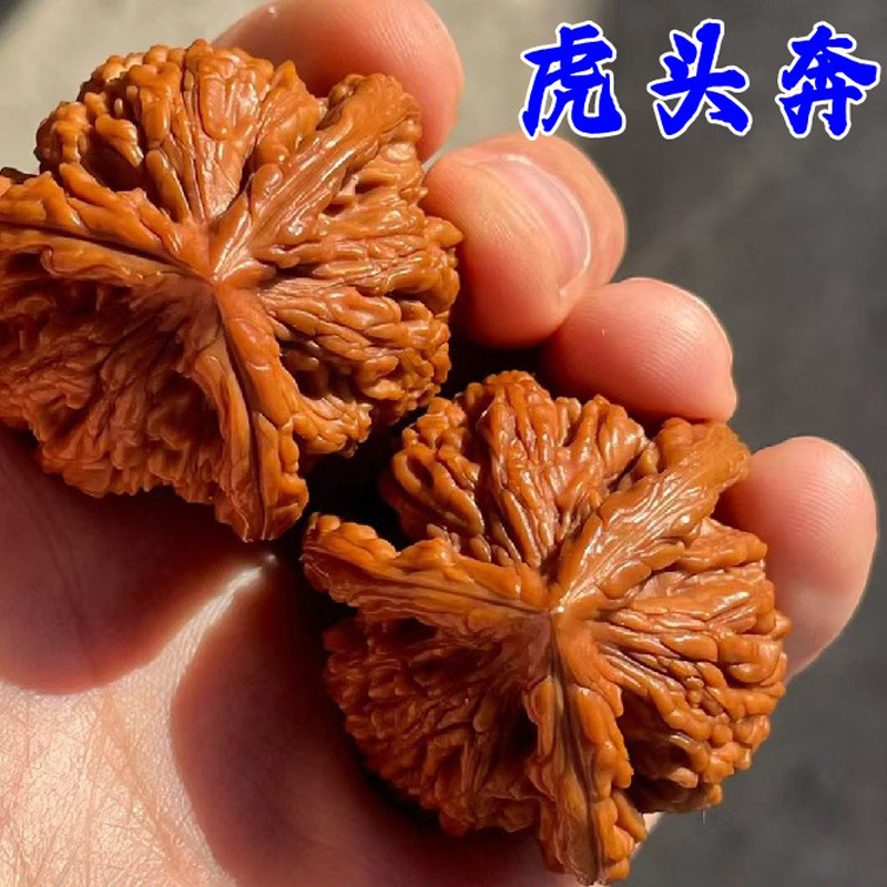 虎头奔三棱文玩核桃树苗盆栽庭院正奔大奔盘龙麻核桃苗南北方种植