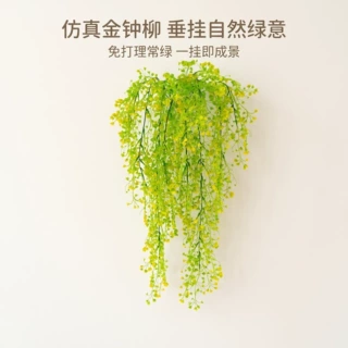 仿真金钟柳壁挂绿植垂吊藤条吊顶墙面装饰塑料仿真植物垂柳挂藤
