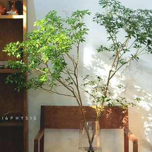 Japanese-Style Hanging Bell Water Culture Potted Plant with Fresh-Cut Branches for Indoor Greenery, Direct Wholesale from the Manufacturer
