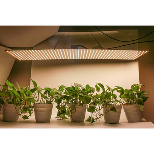 led�Nֲ��75W���Ӱ�598����{����������115X30CM����e�a��