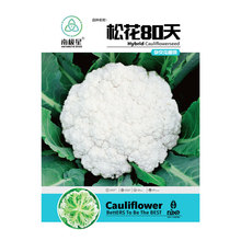 台湾青梗松花菜种子种籽花菜菜花春季秧苗孑秧四季蔬菜苗籽种菜籽