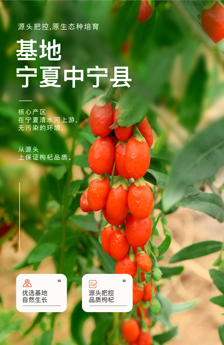 Ningxia Goji Berries Premium Grade 140g Dried Wolfberry Gou Qi Zi Ready to Eat quality and texture
