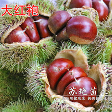 ��t�۰�����޽Ӱ����������t�������w������������Ϸ������N