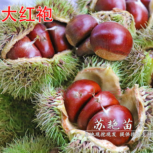 ��t�۰�����޽Ӱ����������t�������w������������Ϸ������N