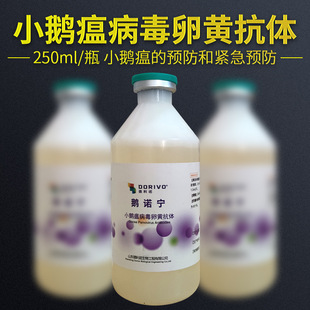 ��ƿС�Z�����S���w���������ಡ�cճĤÓ���[�������c������С��