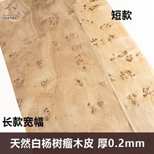 天然白杨树瘤木皮 实木树疤木皮 进口白杨木皮 大张白杨树皮