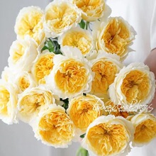 һ�����l�̴�z�¼������_��õ�����Ի�������ֲ���ٱ��Nޱ��Gֲ