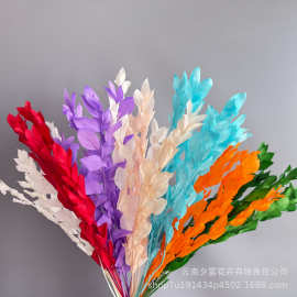 桔叶永生花干花花束文艺小清新圣诞装饰摆件家具插花配饰拍摄道具