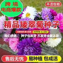 շNӴ󻨺BĻNӻNļ_ļN⻨ܷN