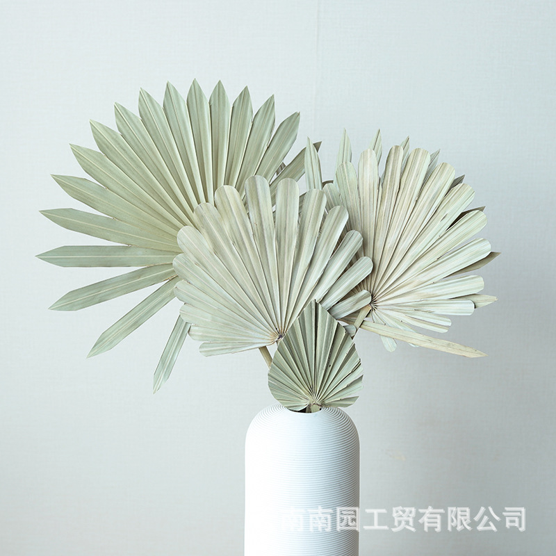 Guanyin fan small palm leaf dried flower bouquet source goods Flat…