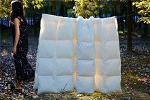透湿透气全棉植物纤维羽绒被子被芯空调被蓬松保暖冬被春秋被