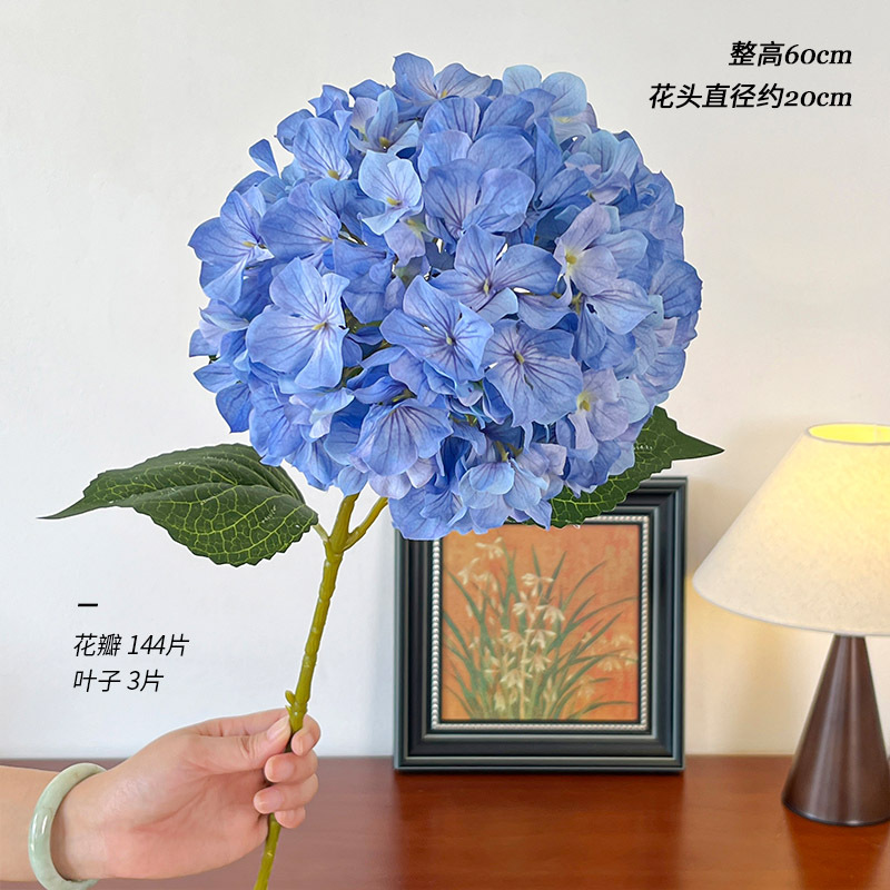 다크 블루 리사 수국 단일 지점