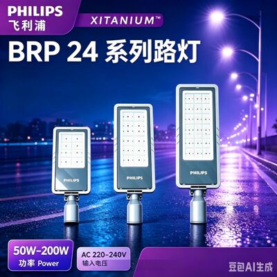 飞BRP24系列路灯利浦BRP241  BRP242  BRP243LED户外路灯