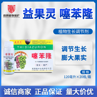 ����` �籽¡ �����������ș���������Lֲ�����L�{����120ml