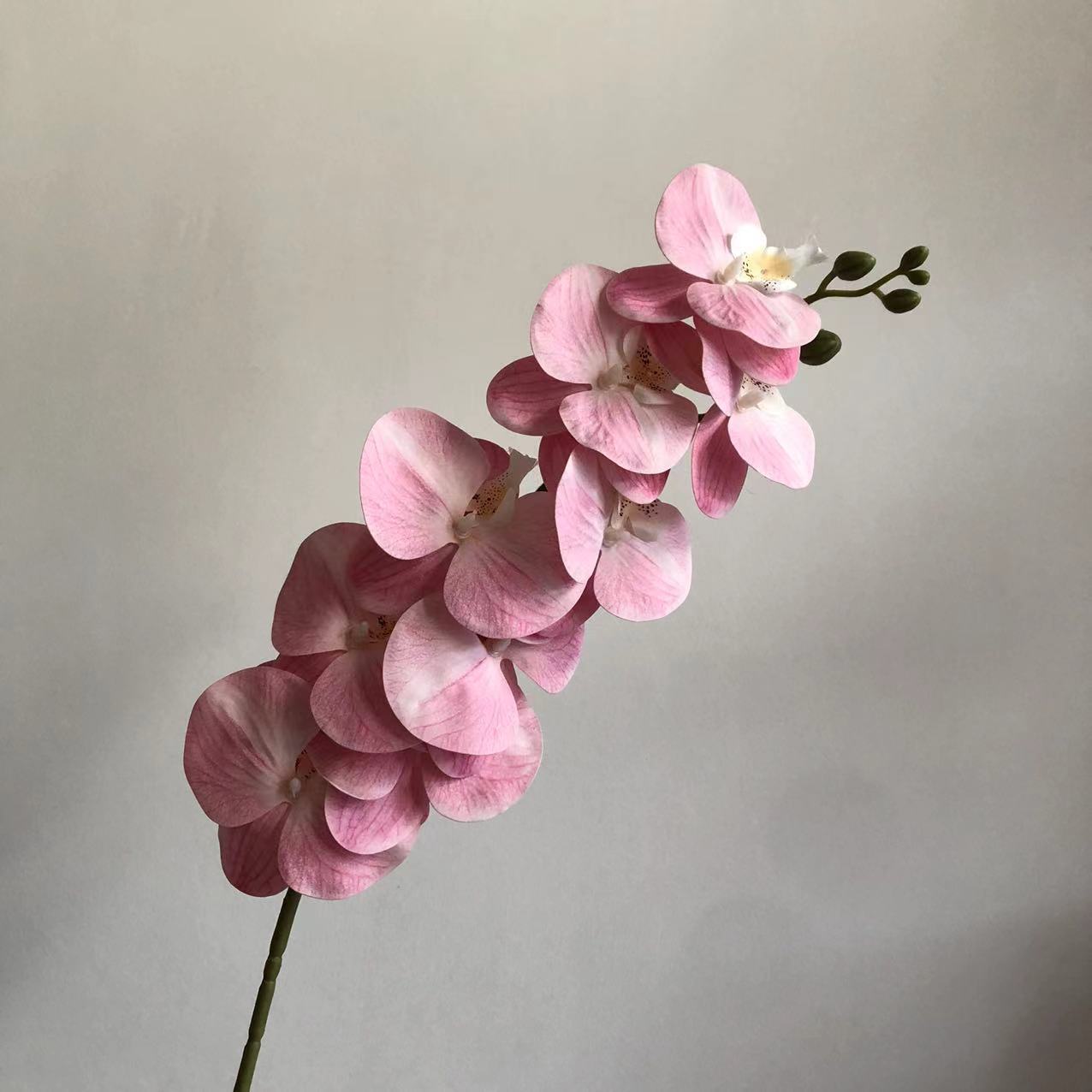 피치 핑크