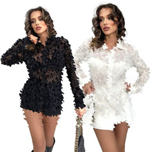 Y71520 ŷ��Ůװ�羳�Ը���ɴ͸�� ���������� Ůʿ���� 2ɫ�ֻ�