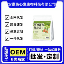 话梅油柑薄荷茶10g*10袋真材实料代发批发源头工厂夏季代用花果茶