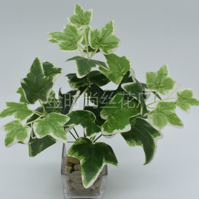 メーカー直販シミュレーション植物プラスチック造花植物壁配材ゴム手触り葉亀背葉緑羅|undefined