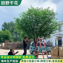 跨境仿真榕树酒店室内外造景仿生绿植装饰橱窗道具大型假树许愿树