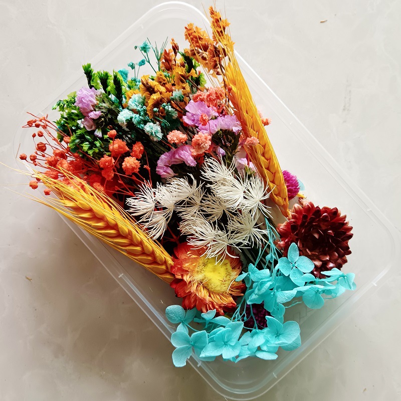 微信图片_20231127083927